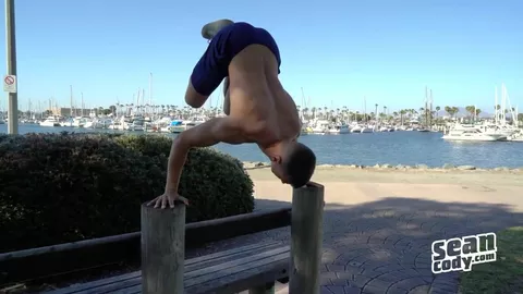 Belle gueule et belle verge