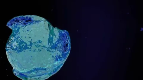 O massagista bate uma no seu pauzão preto