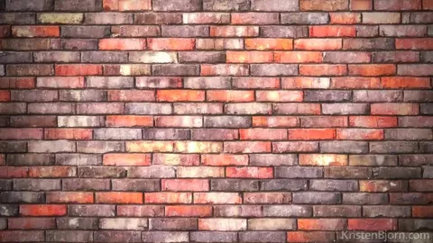 Creampie par un bear – Gabriel Lunna & Xavi Garcia