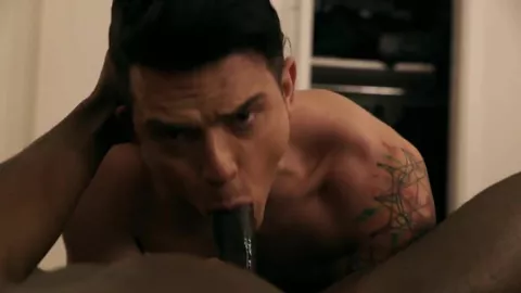 Belloccio inseminato da uno stallone black