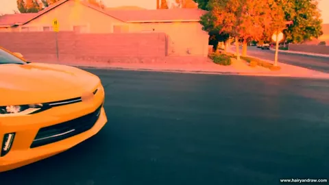 Ursos, fetiche e bareback gay