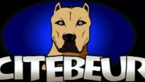 Master rebeu sfonda una cagnetta