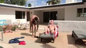 Dolft Dietrich est un mâle alpha qu'il ne faut pas emmerder.