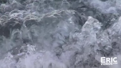 22cm am Strand von Barcelona angetroffen