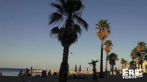 22 cm encontrados na praia de Barcelona