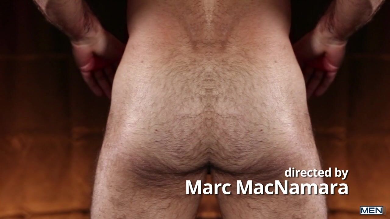 gay-poilu gay-velu performer acteur-porno