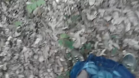 Ein Spaziergang im Wald