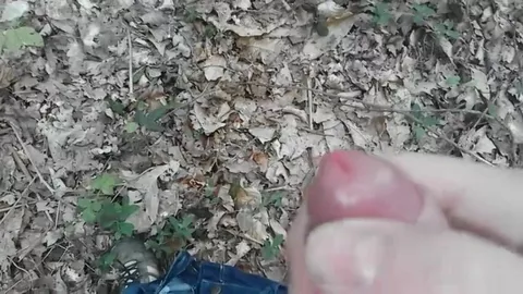 Un paseo por el bosque