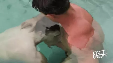 Mâle dominant à satisfaire – Bareback