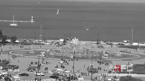 Baisé comme une bête