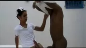 Quedada de mamada entre un moreno y un bledard