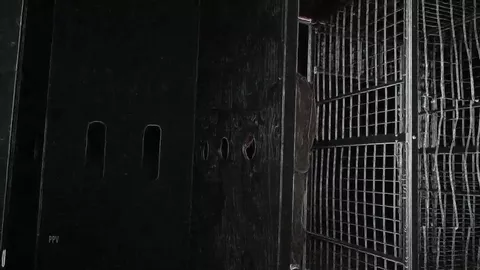 Enorme orgía a pelo