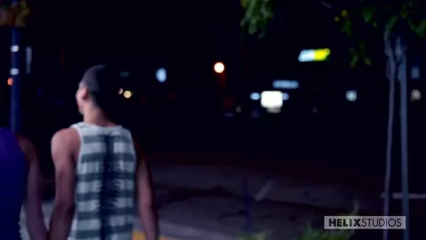 Amor à primeira vista — e depois trepam