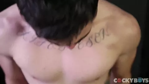 Pierre Fitch besamt Asher Hawk