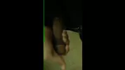 Best of Arab Men – Vol.7 (solo, orale, bareback, urina) (55 clip – 70 min)