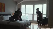Trio montréalais avec William Seed et Ace Quinn