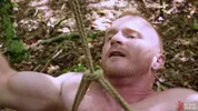 L’aventure de Brody Fox — Partie 3 : Victimes et prédateurs