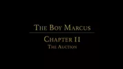 IL RAGAZZO MARCO Capitolo 2 - L'asta