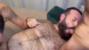 Ursos em orgia