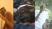 Degenerate temporada 1 (completo)