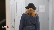 Degenerate temporada 1 (completo)