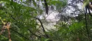 Plan à trois au milieu du parc pendant que les passants défilent