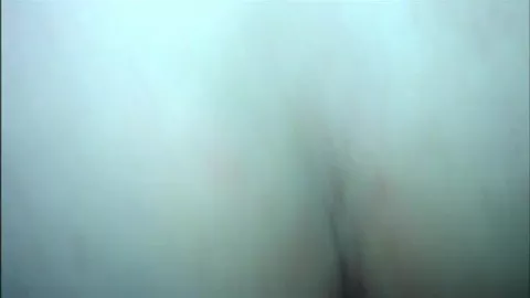 Calígula — culo bien follado