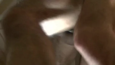 chico_sexy_usado_crudo_por_una_estrella_porno_de_polla_xxl_superior