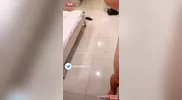Vietnamita