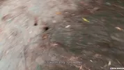 Gay fucks Heartbreaking straight