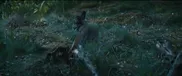 carregar-vídeo