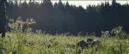 carregar-vídeo
