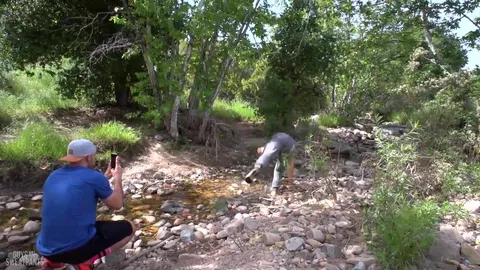 Dantes Double Load Dante Colle Diego