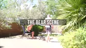 Bear Porn Gay Moviii