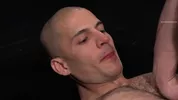 Porn Gay Wrestling