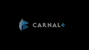The Call - APPRENTICE FOX Episodio 1