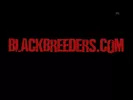 BlackBreeders_-_Anu_Juhan,_Leon_Masters,_Jai_Sean,_Tancredo_Buff_-_Shut_It_Down_-_Ret