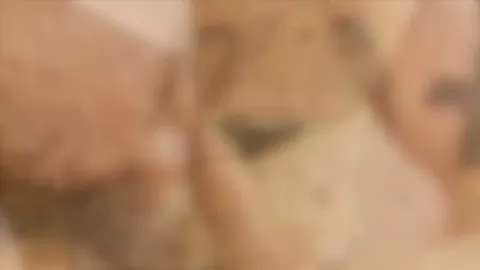 Matteo_Valentine_&_Robin_Fanteria_-_d