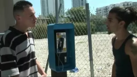 Miami_Uncut_Volume_3_-_Tropical_Dicks