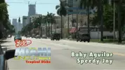 Miami Uncut Volume 3 - Tropical Dicks