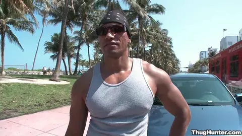 Xazador de Culo Negro Cruzing on South Beach