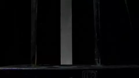 Sexpack 4 - Porn Noir