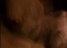 Sexpack 4 - Porn Noir