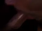 Sexpack 4 - Porn Noir