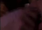 Sexpack 4 - Porn Noir