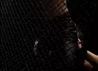 Sexpack 4 - Porn Noir