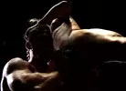 Sexpack 4 - Porn Noir