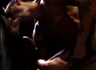 Sexpack 4 - Porn Noir