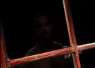 Sexpack 4 - Porn Noir
