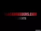 BlackBreeders 4 Magnum neri crudi